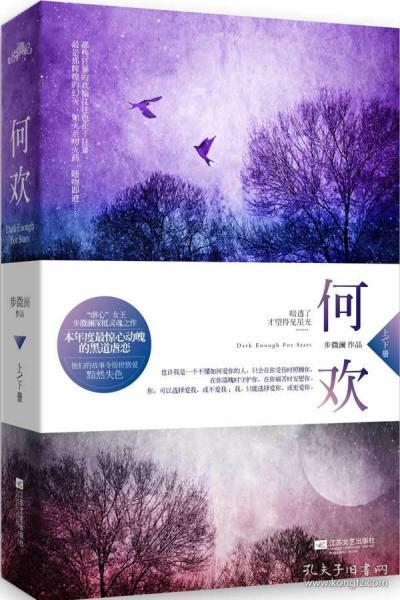 何欢(步微澜 著)_简介_价格_小说书籍_孔网