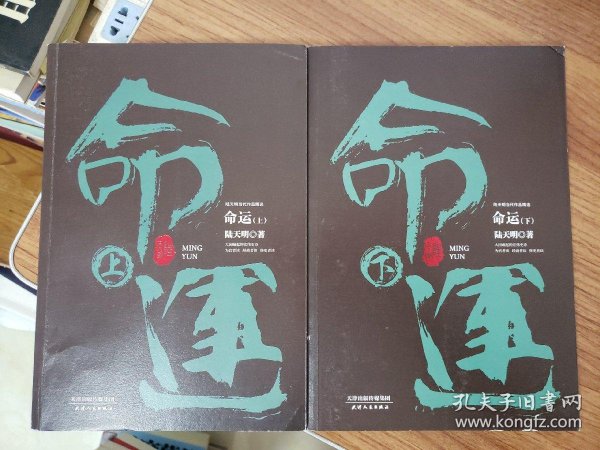 陆天明当代作品精选命运套装全2册