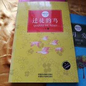 快餐文学坊第二辑    迁徙的鸟
