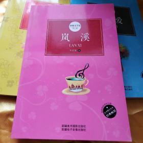 快餐文学坊第二辑--岚溪