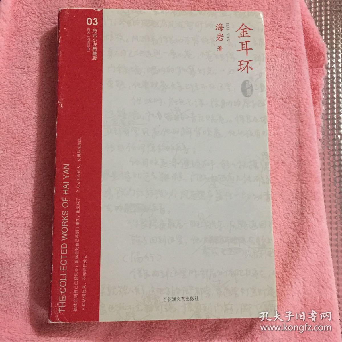 金耳环(海岩 著)