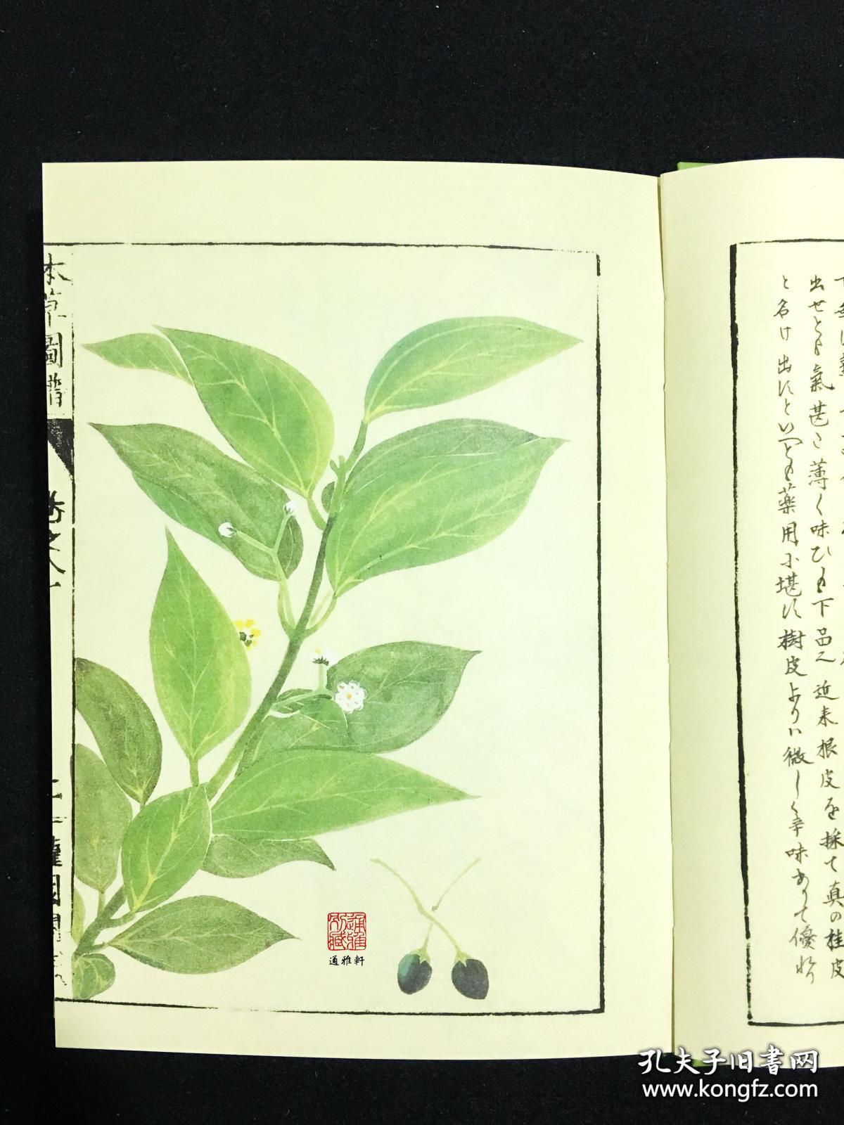 本草图谱(古刻新韵七辑 软精装影印本 全10册 随书另赠:主题笔记本一