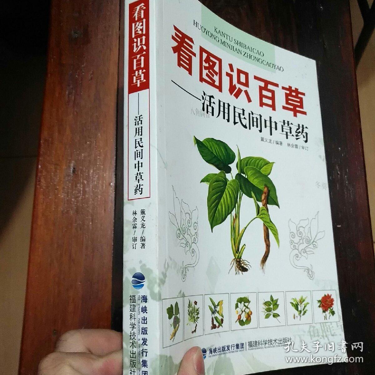 看图识百草活用民间中草药