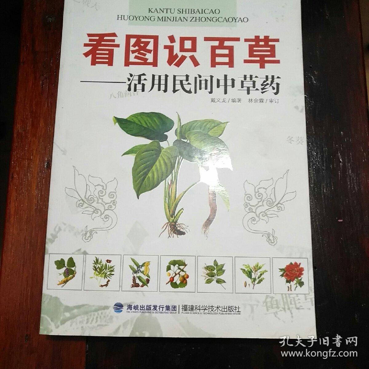 看图识百草活用民间中草药
