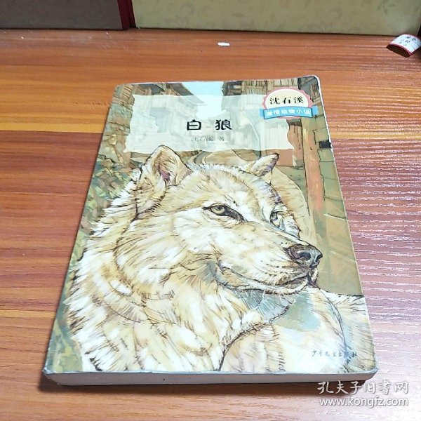 沈石溪激情动物小说白狼