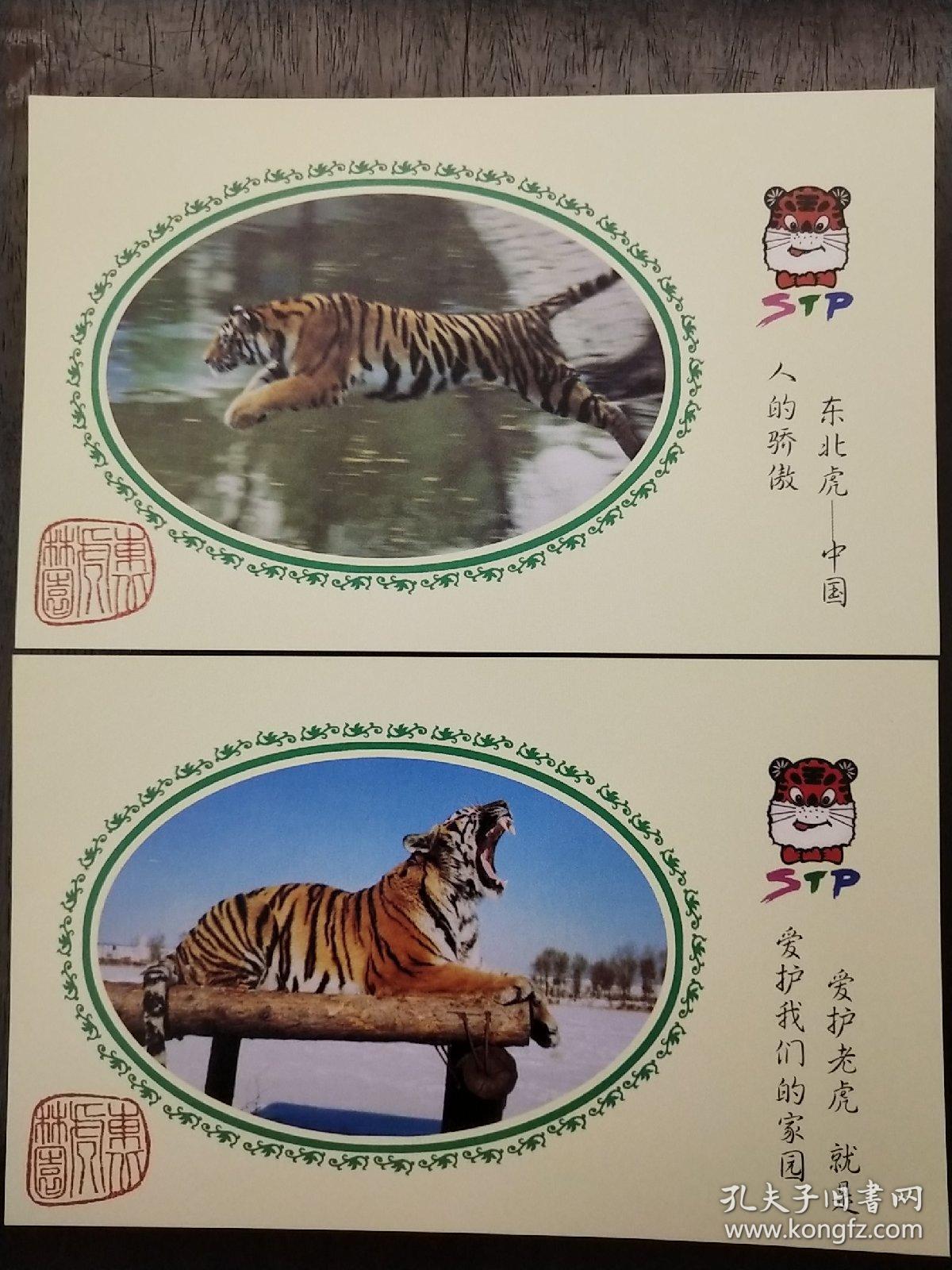 《东北虎》明信片