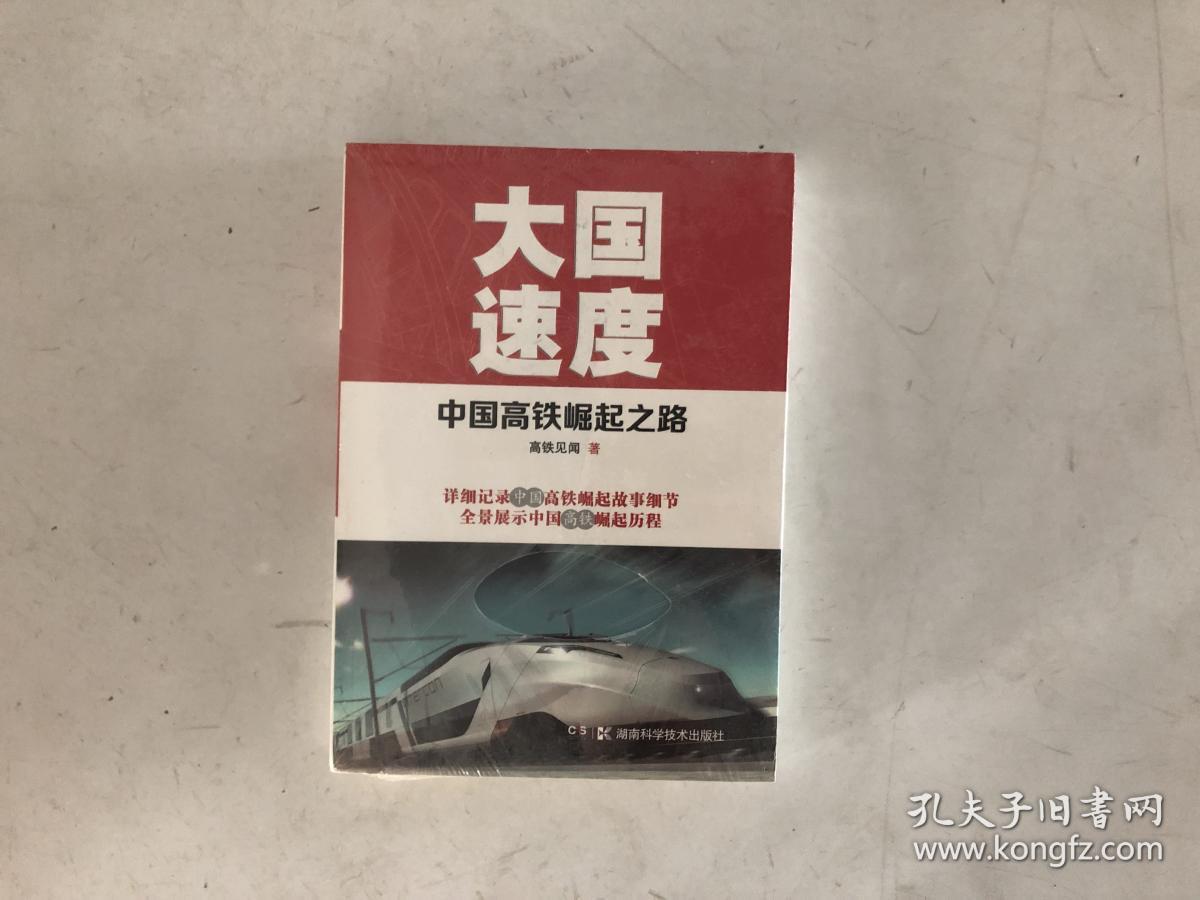 大国速度:中国高铁崛起之路