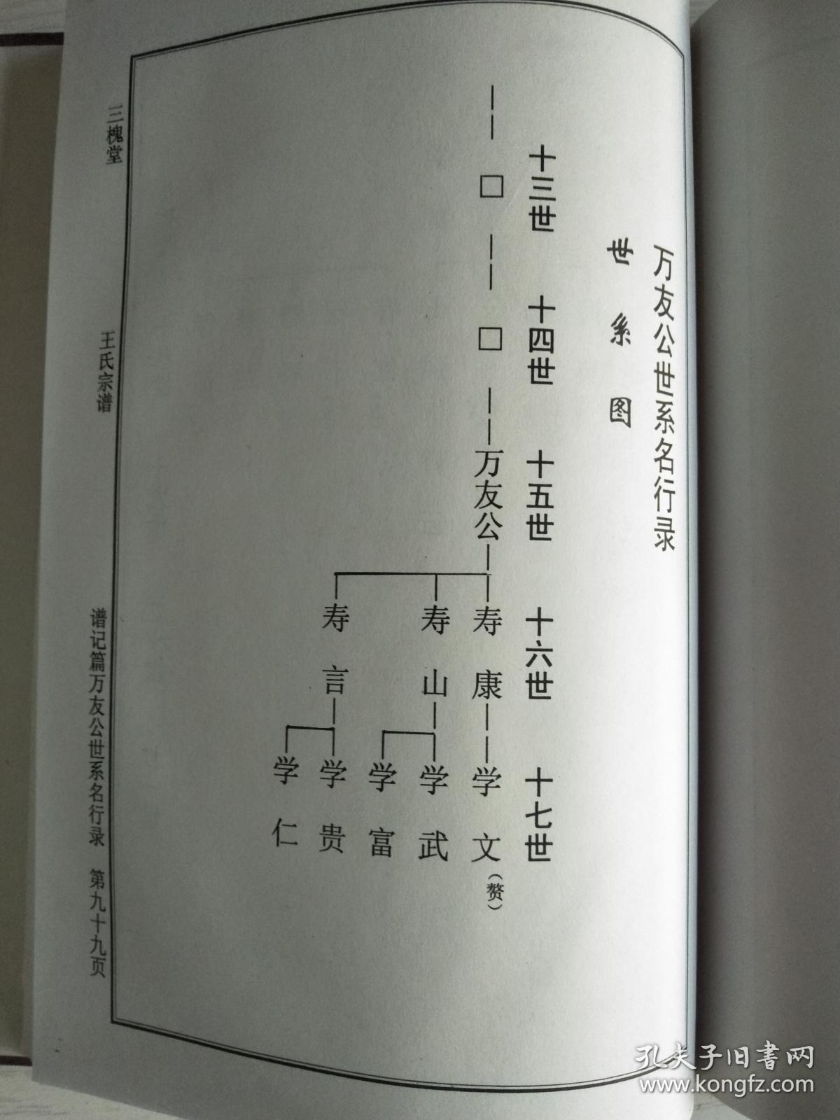王氏宗谱三槐堂建湖支硬精装16开187页2003年续修建湖美宜家藏书数