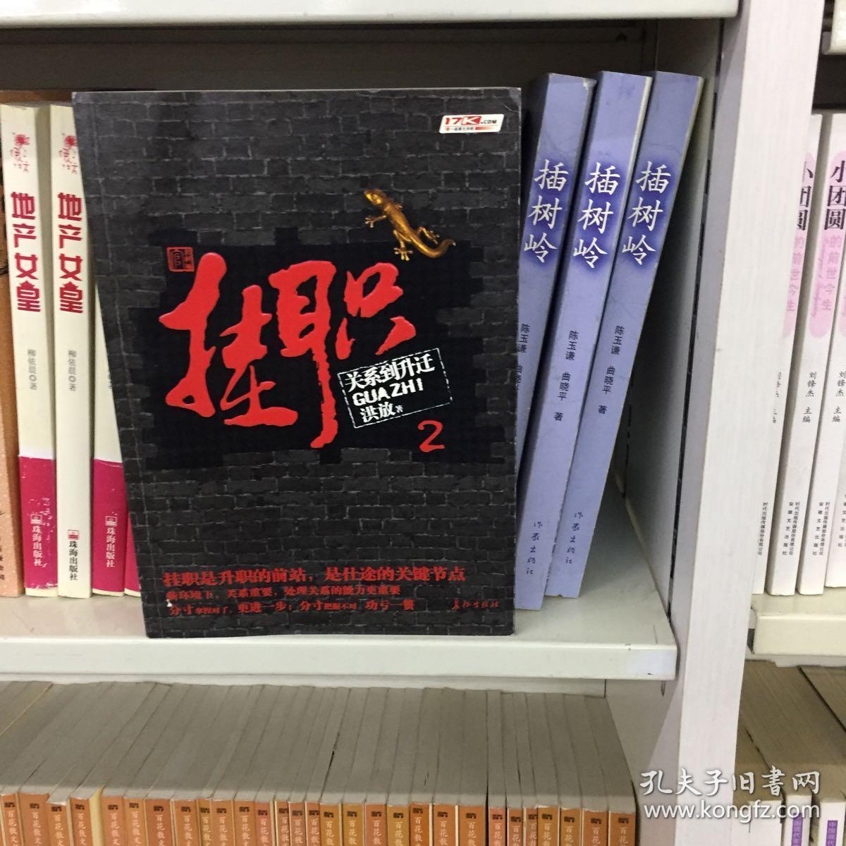 挂职2-关系到升迁_洪放 著_孔夫子旧书网