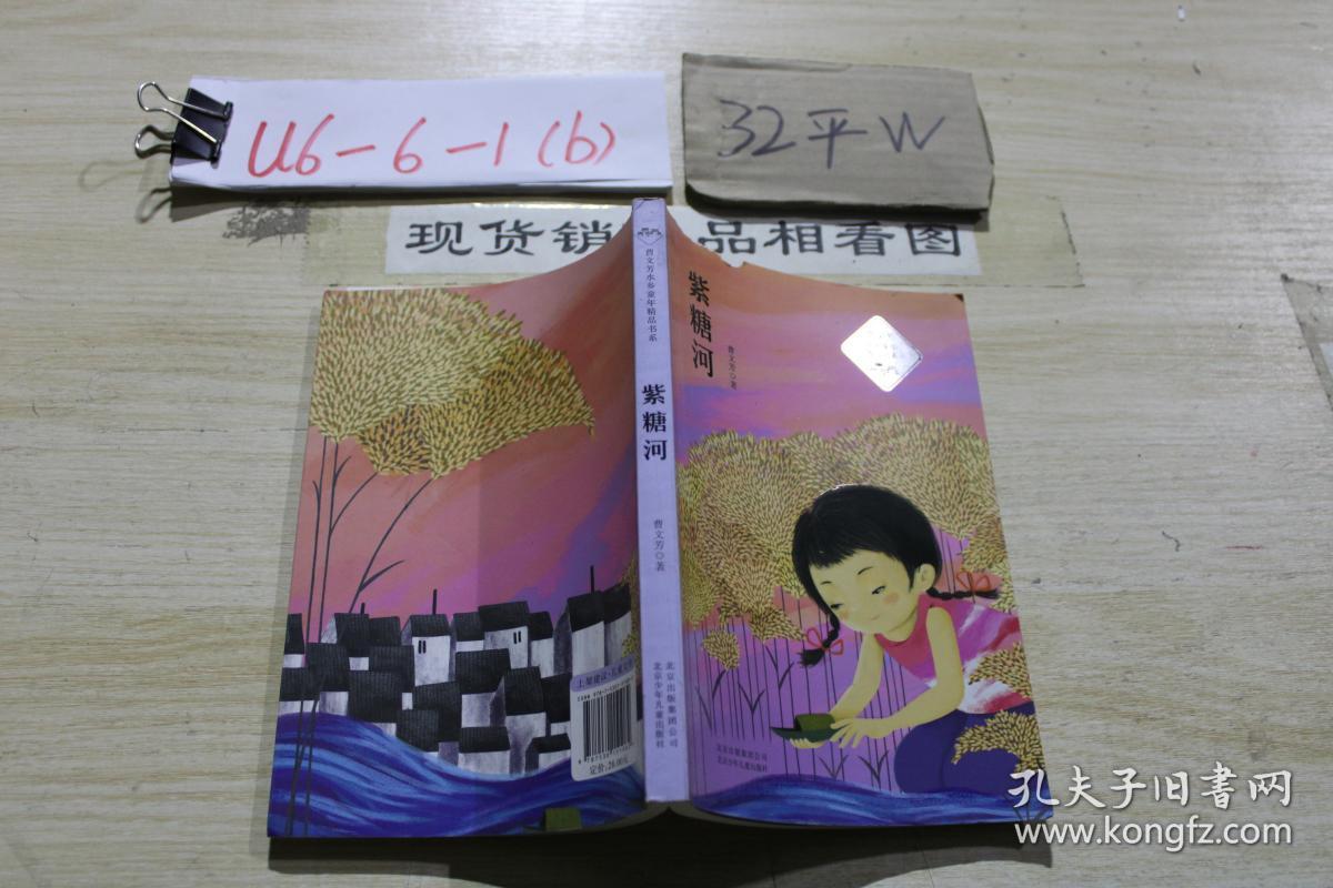 曹文芳水乡童年精品书系—— 紫糖河