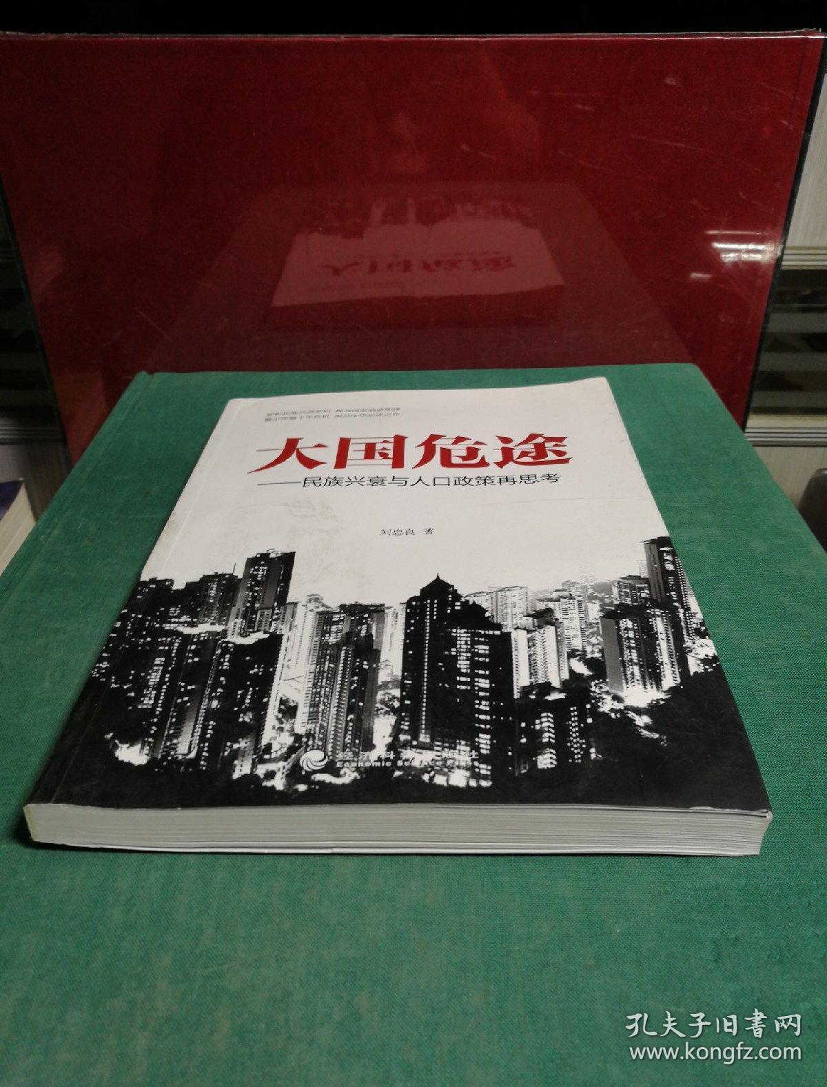 大国危途:民族兴衰与人口政策再思考_刘忠良 著_孔夫子旧书网