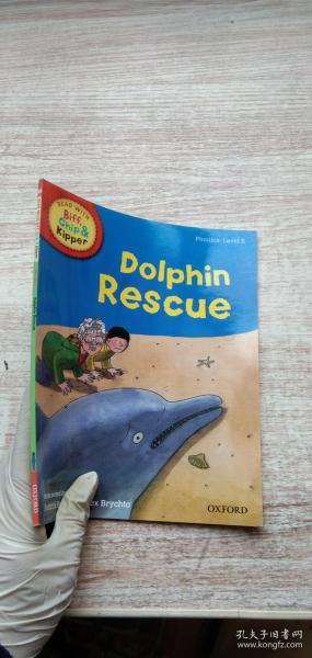 dolphin  rescue