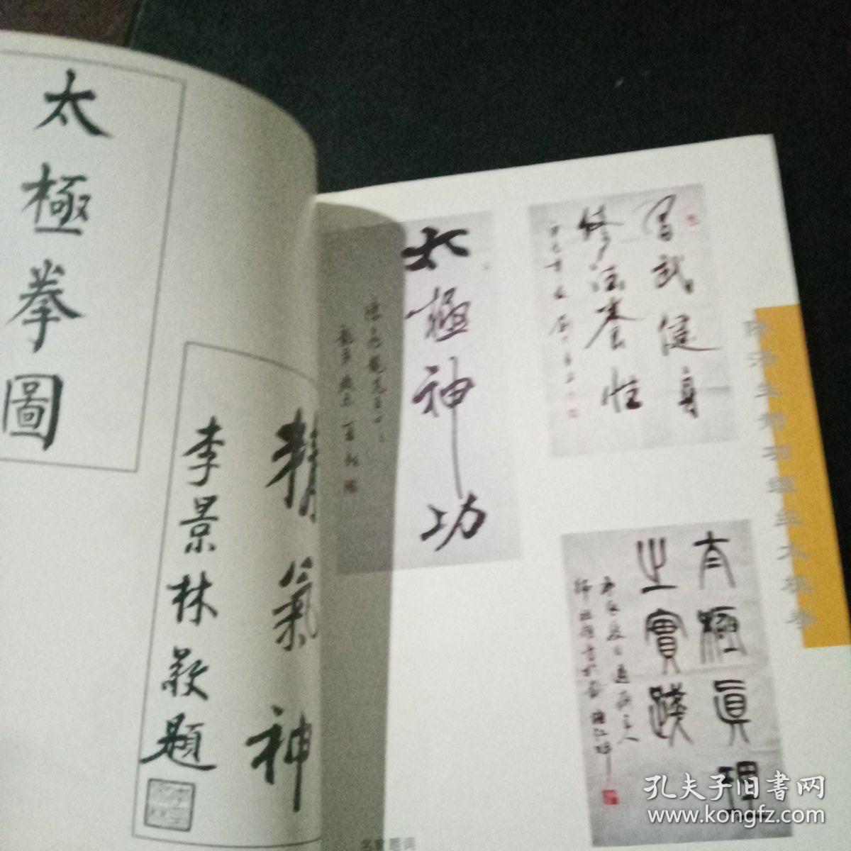 陈济生缠丝太极拳