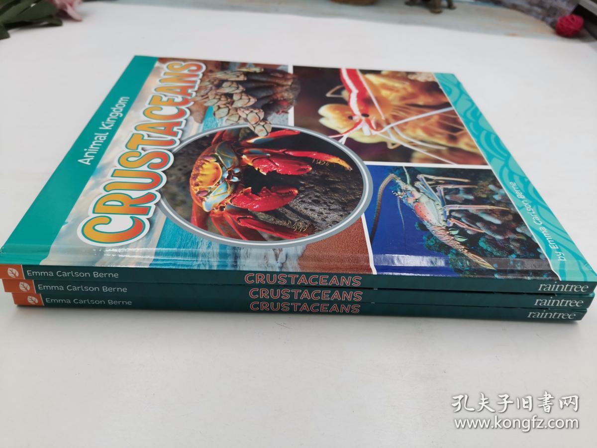 animal kingdom: crustaceans 动物王国:甲壳类动物