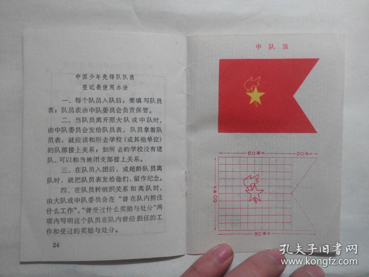中国少年先锋队队章