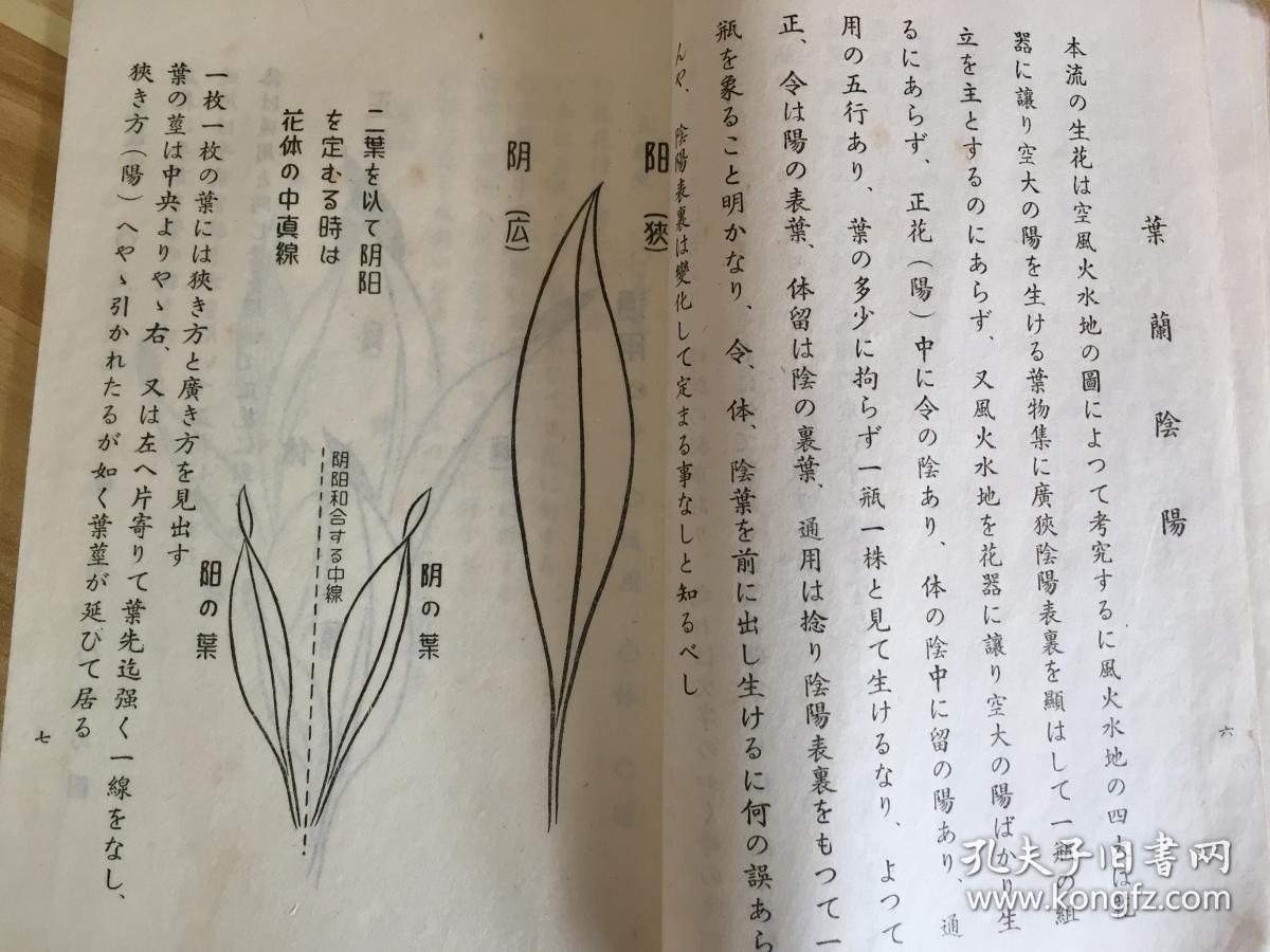 1953年日本出版花道书《日本生花司·松月堂古流：叶兰活方》线装一薄册 