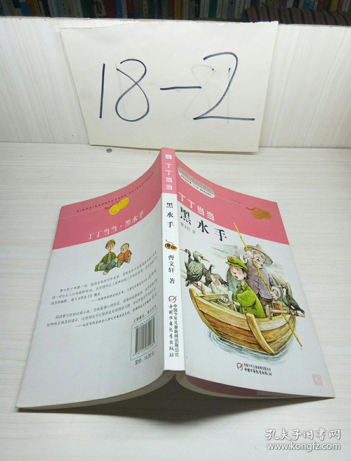 曹文轩经典作品丁丁当当黑水手