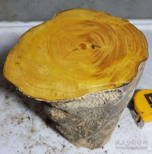 黄杨木原木笔筒料