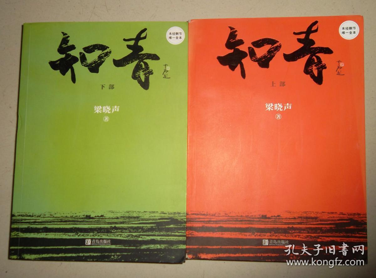 知青(上下部)_梁晓声 著_孔夫子旧书网
