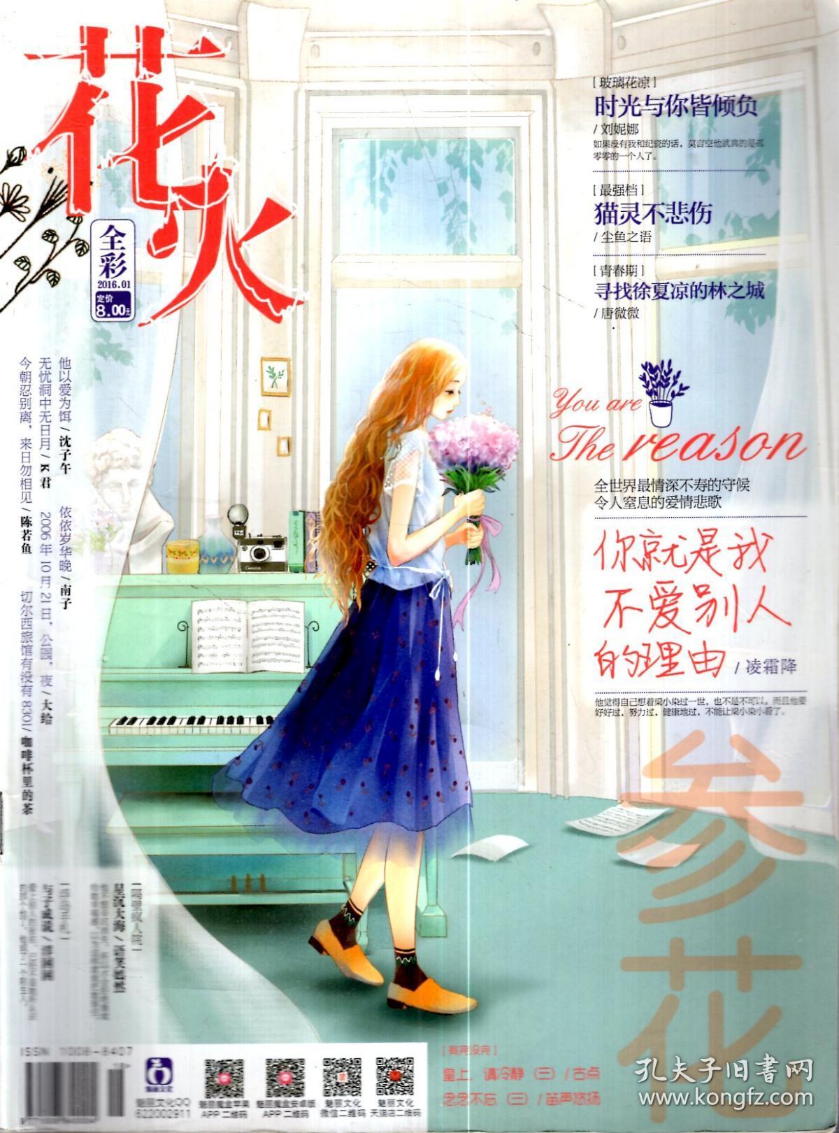 花火.全彩2016年第1,2期.2册合售_《嘉应文学》杂志社_孔夫子旧书网