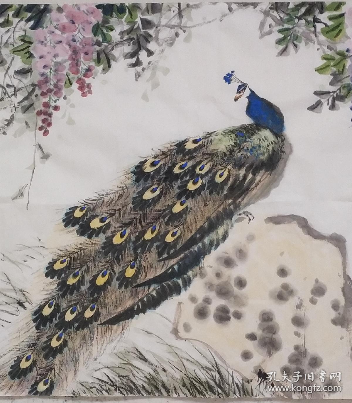 孙举贤紫藤孔雀图