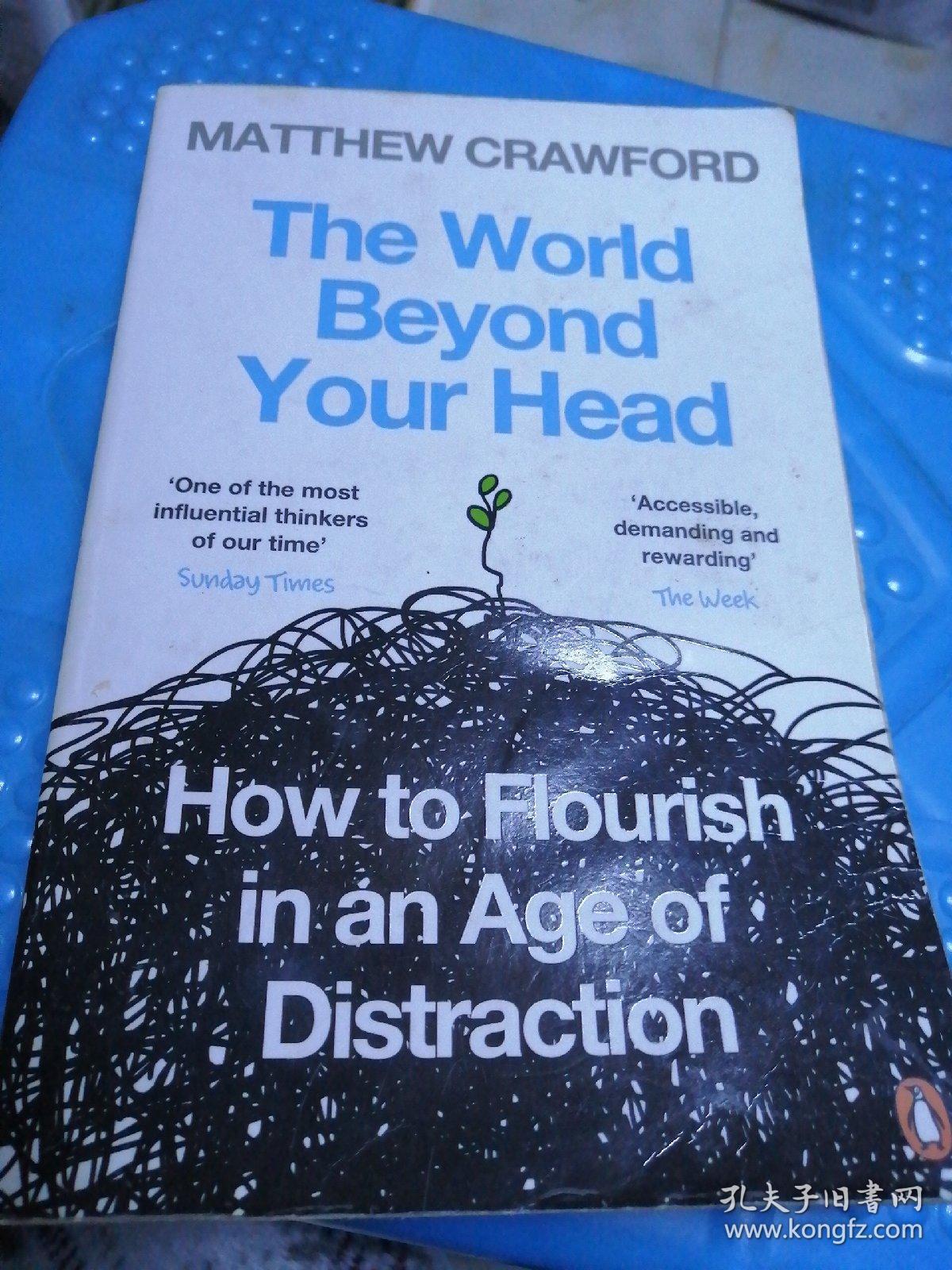 theworldbeyondyourhead