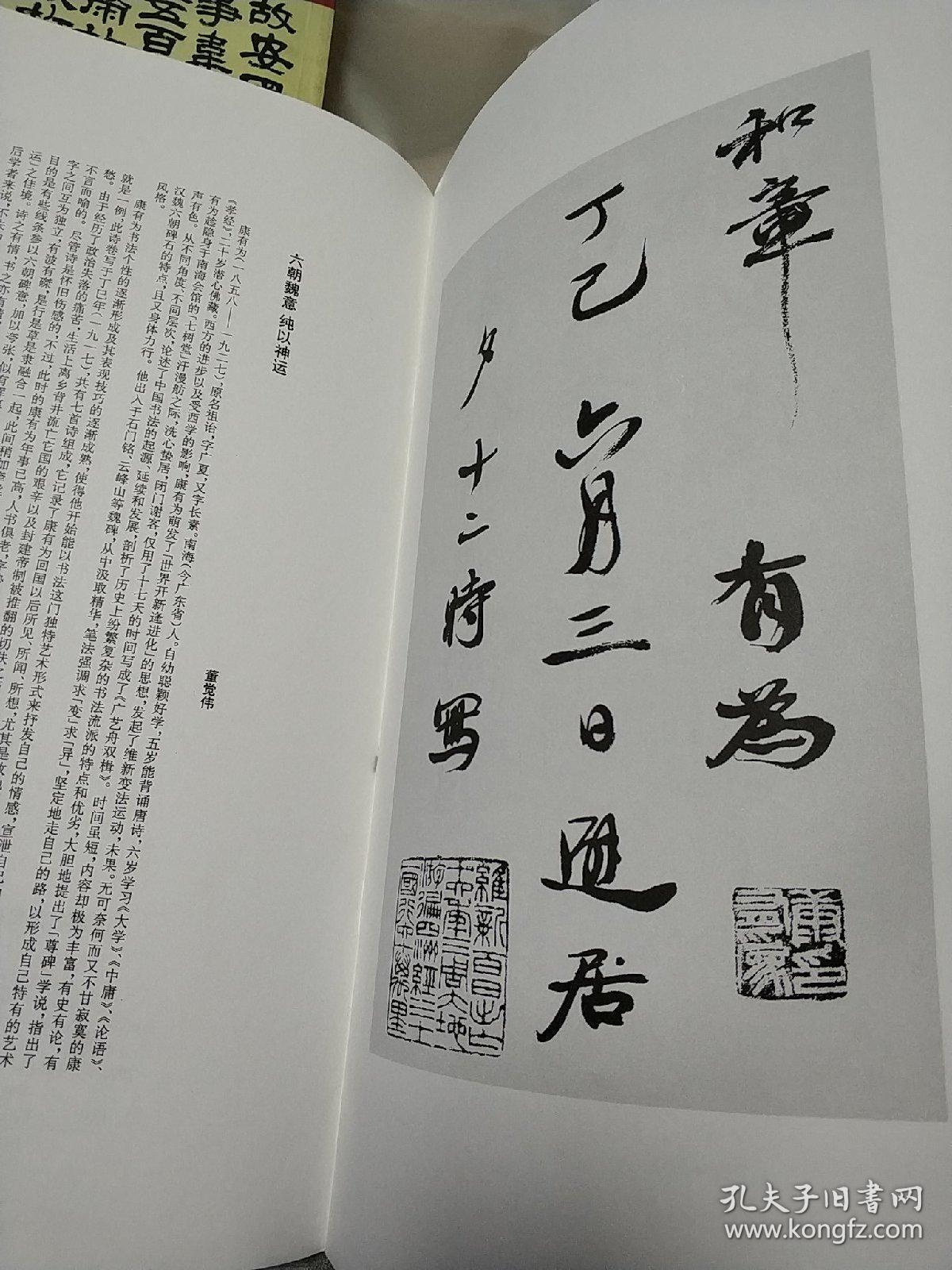 康有为自书诗卷