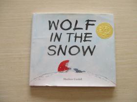 Wolf In The Snow    精装本【146】 我遇见了一只小灰狼 英文原版 Wolf in the Snow 雪地里的狼