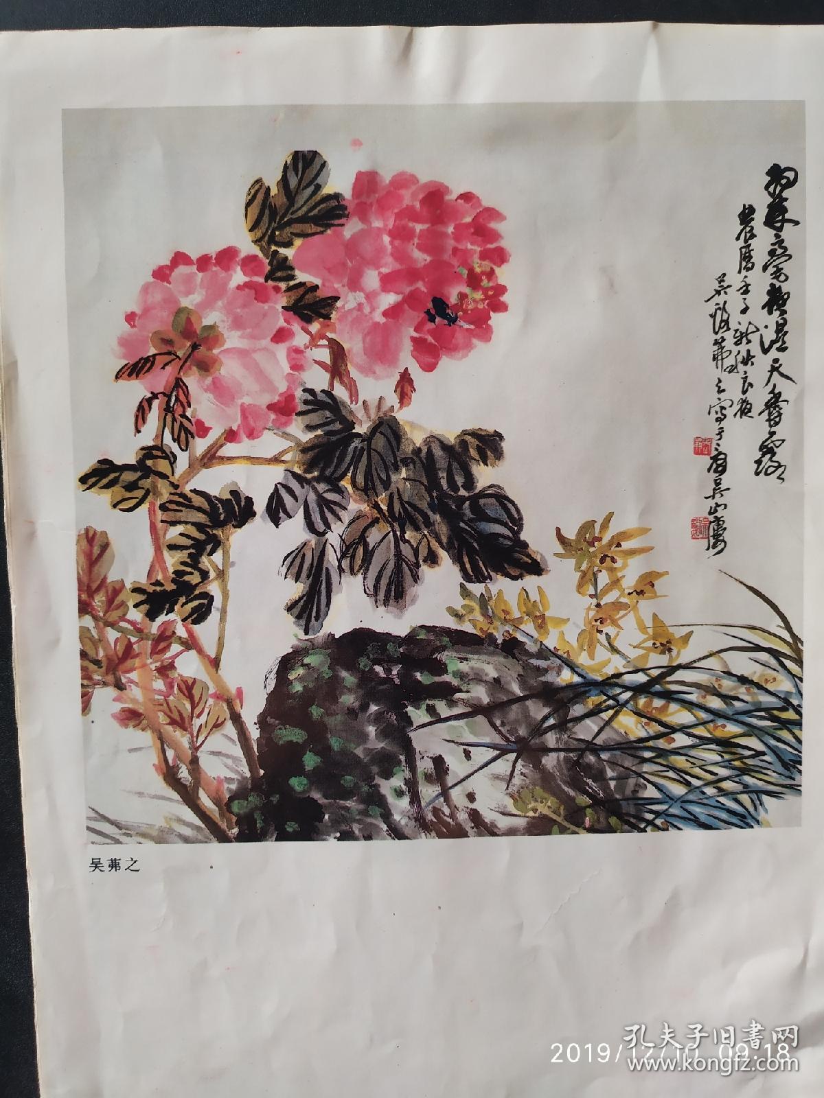 画页(印刷品)---牡丹(张辛稼),牡丹(吴茀之)174