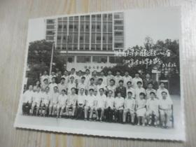 老黑白照片 1987年代湖南大学应用数学系八七届研究生班毕业留念22*15厘米