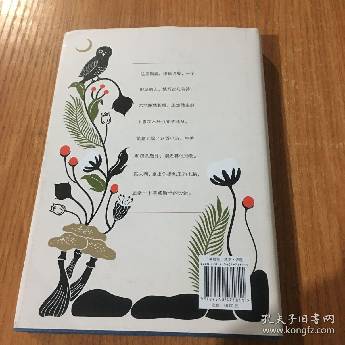 万物静默如谜:辛波斯卡诗选