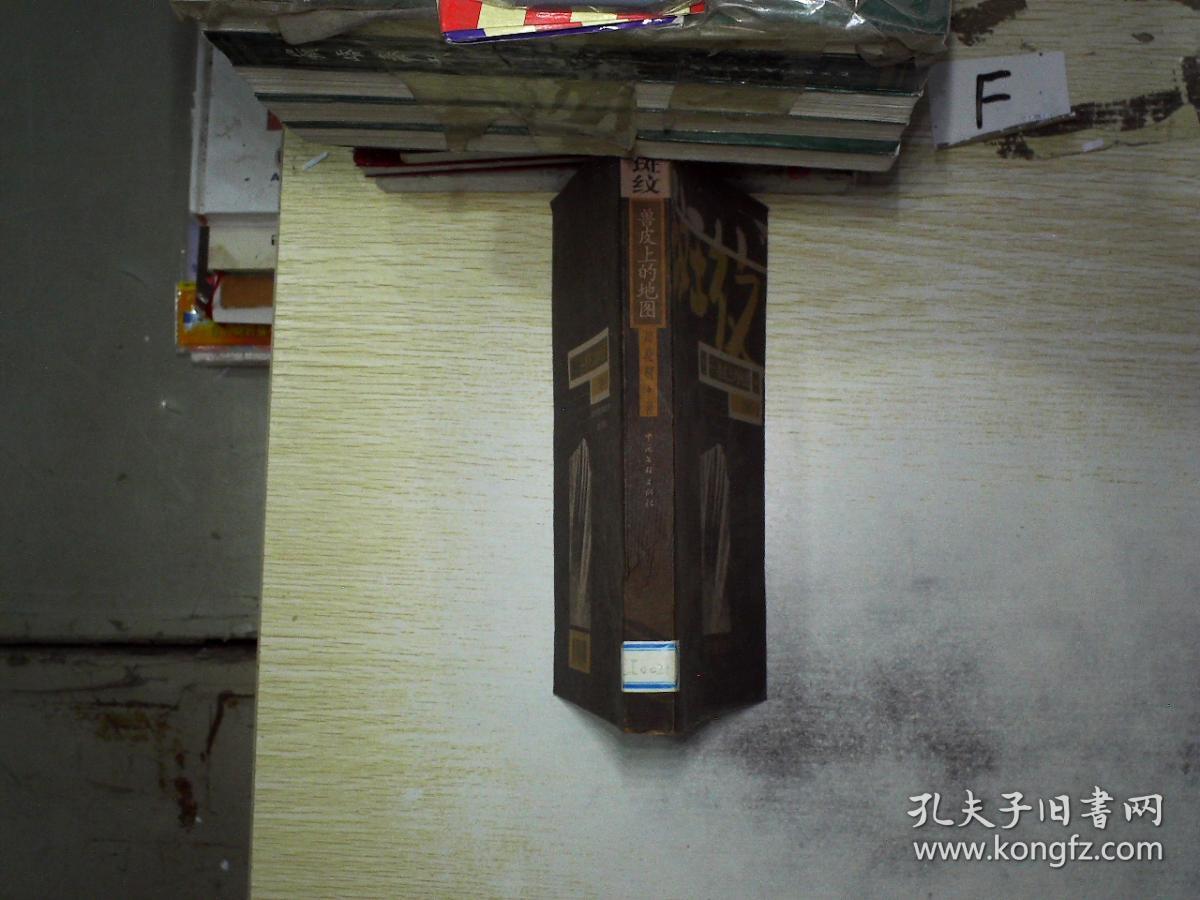 斑纹:兽皮上的地图 周晓枫 著