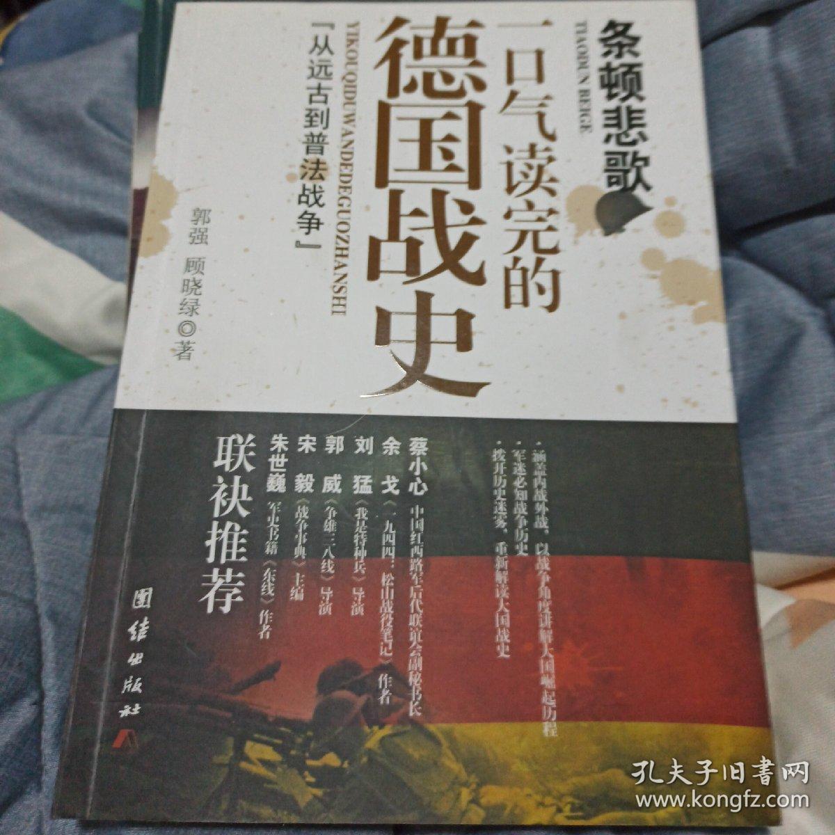 条顿悲歌:一口气读完的德国战史