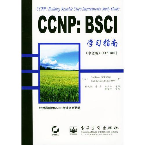 CCNP:BSCI学习指南(中文版)(642—801）