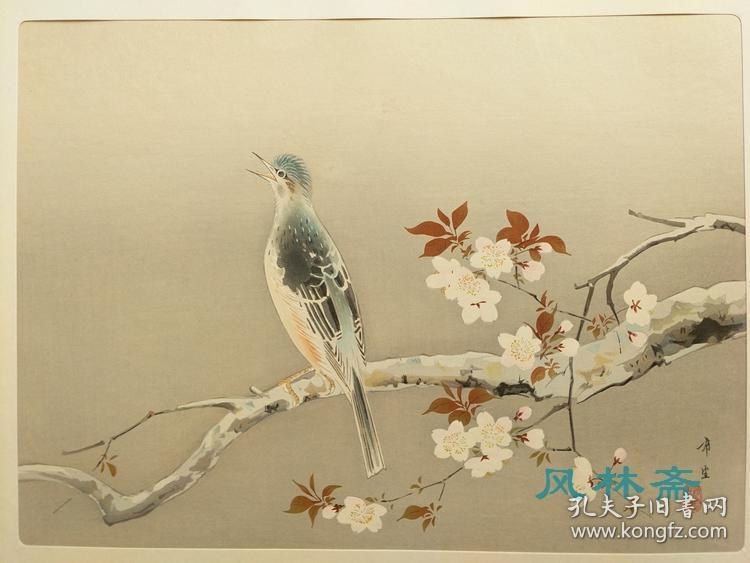 4开木版画 儿玉希望《春晴》 日本近现代花鸟画名作 手工复刻 川合