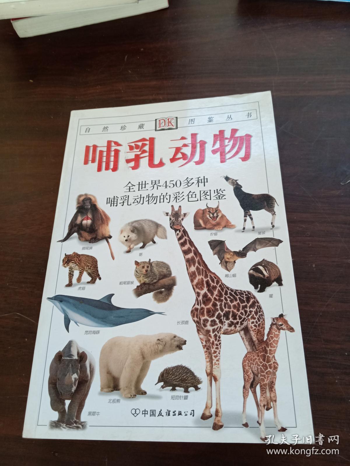 哺乳动物的意思(哺乳动物的意思解释)