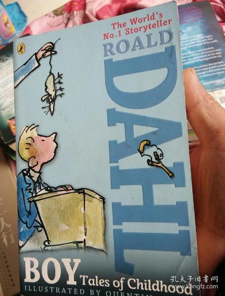 boy 好小子(罗尔德·达尔童年传记)