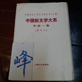 中国现代文学史资料丛书 （乙种） 中国新文学大系 （影印本）