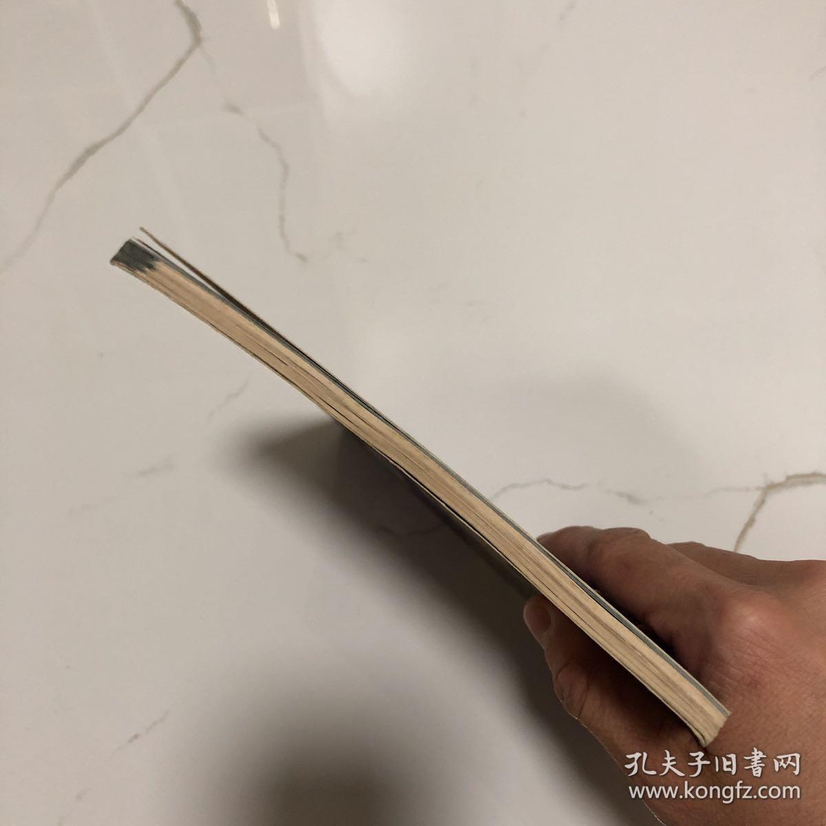 设计基础图案① 花卉变化