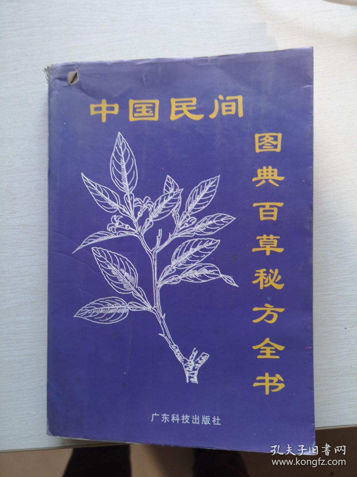 中国民间图典百草秘方全书