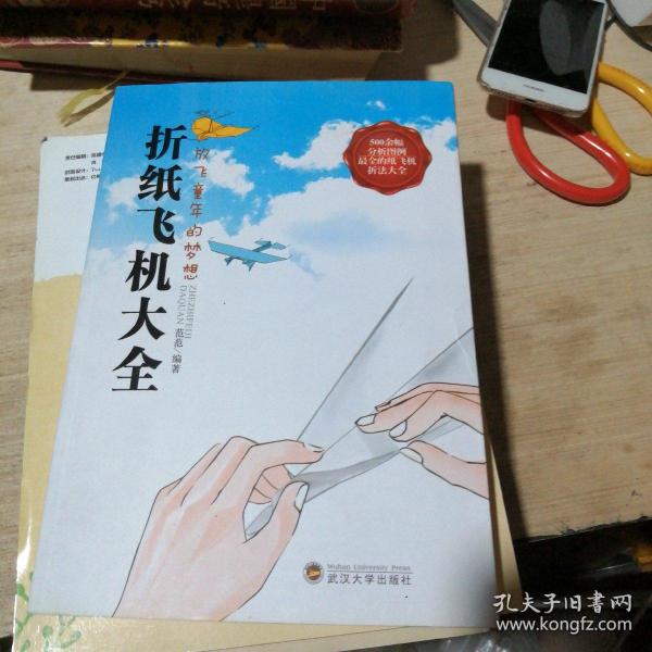 折纸飞机大全:放飞童年的梦想