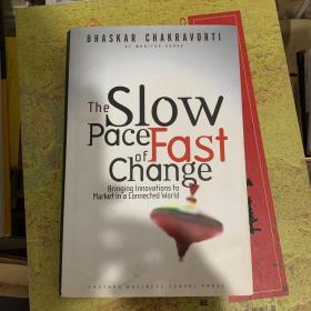 The Slow Pace of Fast Change
