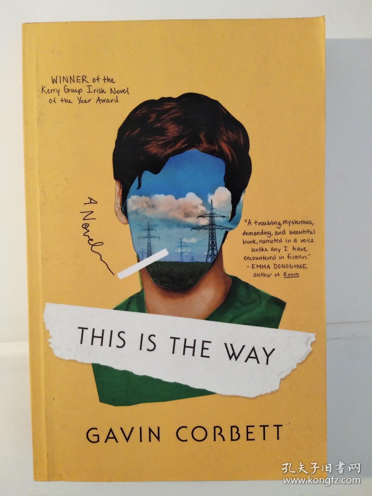 this is the way_gavin corbett_孔夫子旧书网