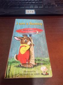I Am a Bunny （A Golden Sturdy Book） （English Edition）