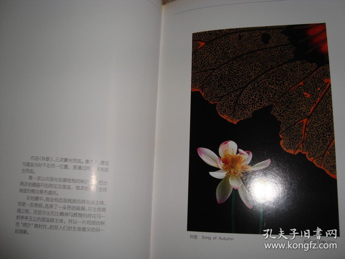 石广智摄影作品集 :花非花 {3000册}