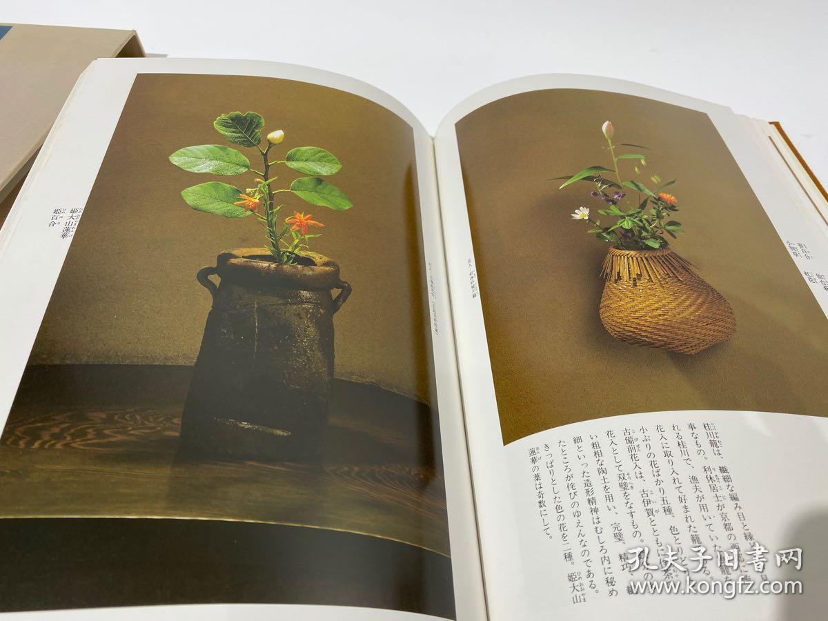 日本花道 茶道山藤宗山侘寂的茶花 孔夫子旧书网 日本花道 茶道山藤宗山侘寂的茶花 孔夫子旧书网