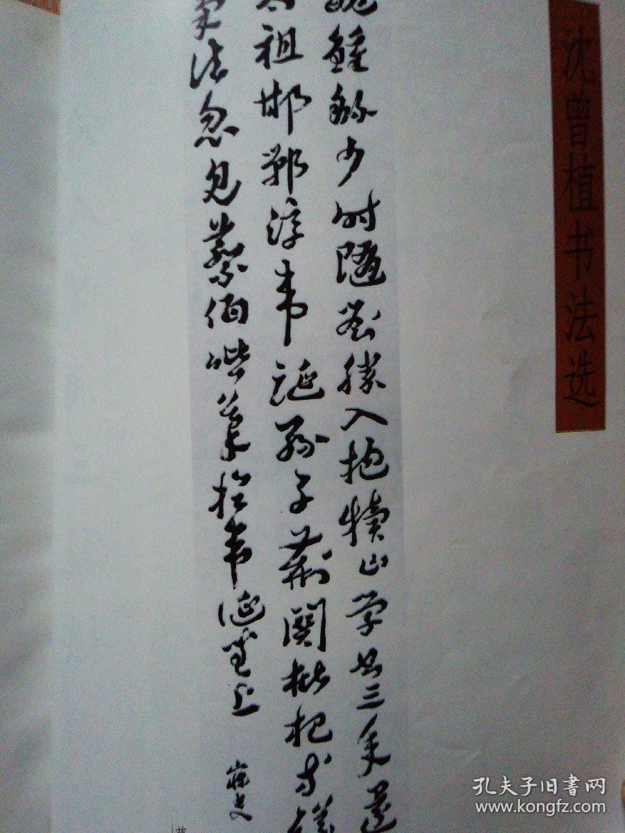 沈曾植书法选 司沈曾植作品玉坤书法作品集李长路题词石峰书法嫉哪