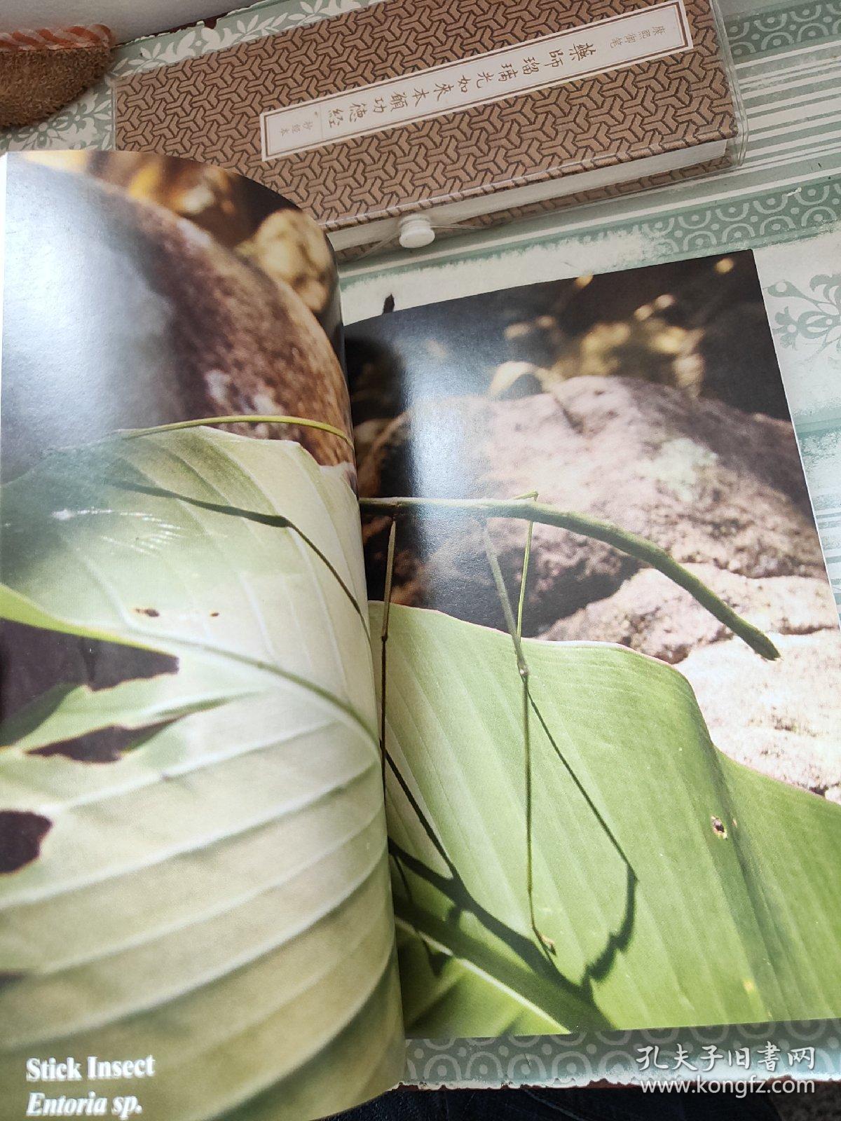 guan tiao kong ti xi/9787010183015/复g8b 郑涛,张义方,张洋,王文轲