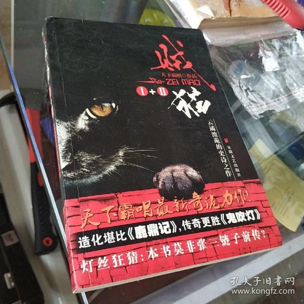 贼猫1+2天下霸唱 著 安徽文艺出版社 2008 10 平装建安侠韵河北省石家庄市
