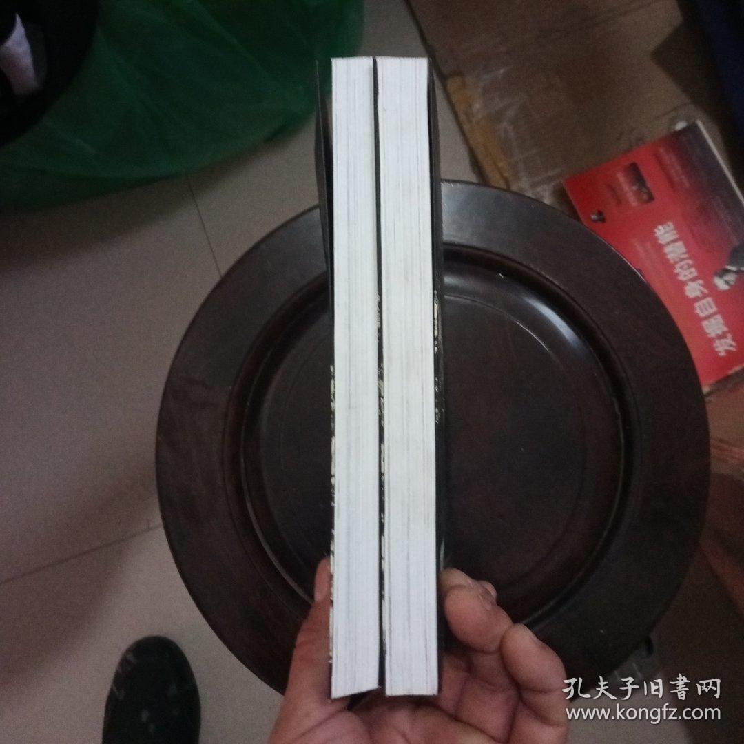 20世纪中国灾变图史(上下册)合售_夏明方,康沛竹_孔夫子旧书网